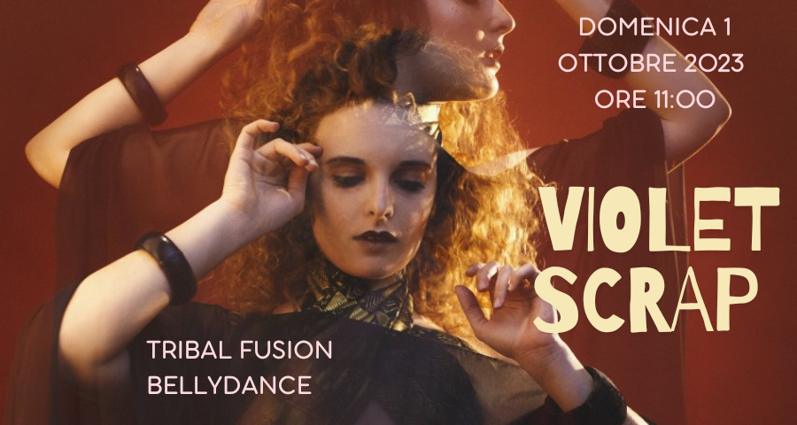 Violet Scrap a Torino: una nuova collaborazione dell’Associazione Artemide!